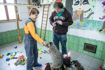 Racioane și bancnote cum să faci bani la o grădină zoologică acasă