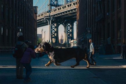 Ha az én kis kutya volt egy nagy vagy óriás kaland taxi New Yorkban, umkra