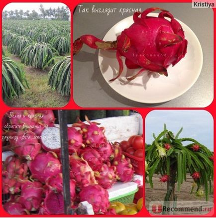 Inima de fructe a balaurului (pitaya) - 