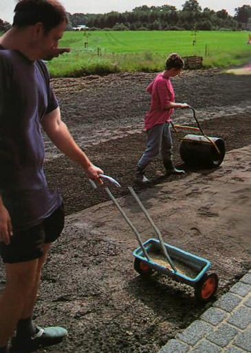 Peluza in gradina, face-ti propriile in etape, cum sa grija in mod corespunzator pentru gazon -