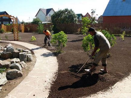 Peluza in gradina, face-ti propriile in etape, cum sa grija in mod corespunzator pentru gazon -