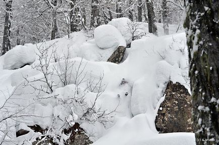 Unde și cum să călătorești în mod corespunzător freeride pe fermă de trandafiri, caucaz, freeride și backcountry