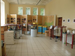 În cazul în care să cumpere miere pe dvh (vvts), moscow de expoziție-târg, festivaluri