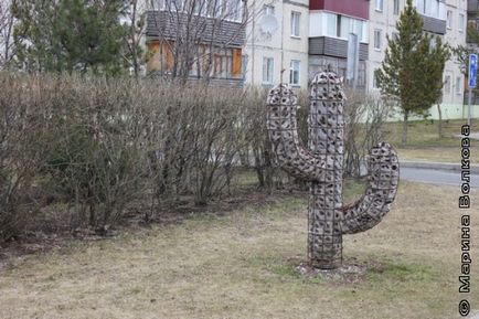 Сити бесни сгради, портал Марина Волкова