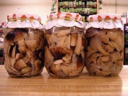Ciuperci pentru iarnă în cutii - rețete cu fotografie