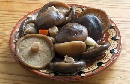 Ciuperci - bune și rele