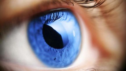 A karboanhidráz-gátlók mechanizmusa a szemcsepp glaukóma (zöldhályog) A karboanhidráz-gátlók mechanizmusa a szemcsepp a glaucoma