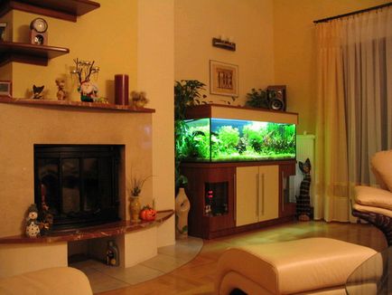 Belső Apartmanok akvárium fotó - akvárium belsejében (fotó) az otthoni (az akvárium) Belső Apartmanok akvárium fotó - akvárium belsejében (fotó) otthonában