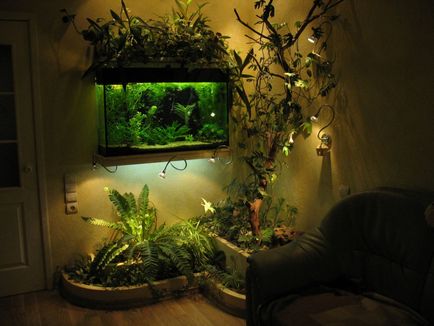 Belső Apartmanok akvárium fotó - akvárium belsejében (fotó) otthonában