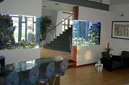 Belső Apartmanok akvárium fotó - akvárium belsejében (fotó) otthonában
