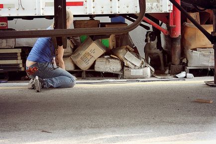 Povestea de a salva doi câini care au trăit în spatele unui camion!