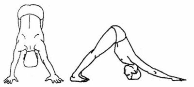 Yoga pentru începători, primele asanas-yoga asanas, yoga gratuită, kundalini yoga