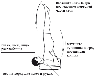 Yoga și sistemul hormonal al corpului