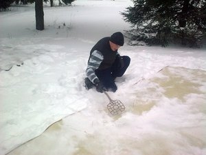 Як і чим почистити килим в домашніх умовах народні засоби для очищення плям і освіження,