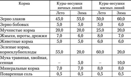 Hogyan takarmány tojótyúkok az otthoni, rohant egy bumm