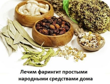 Як лікувати фарингіт в домашніх умовах, сайт про методи лікування докторів Неумивакіна, Болотова,