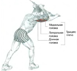 Cum să învinge în cel mai scurt timp posibil! Exerciții pe expedierea simulatoarelor bloc (lka)