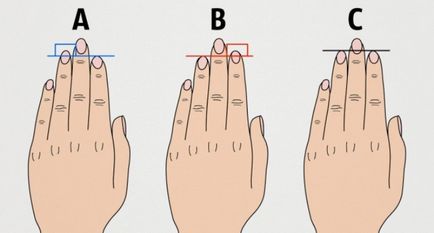 Mivel a hossza az ujjak a tenyér meghatározza jellegét