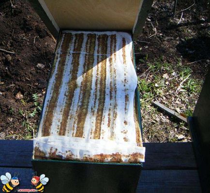 Як спіймати бджолиний рій в пастку в період роїння