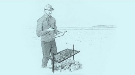 Як правильно готувати м'ясо на відкритому вогні brammels