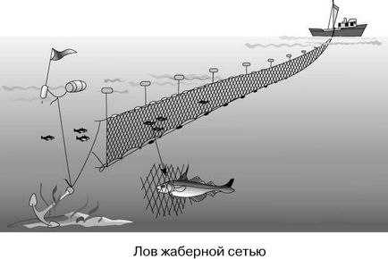 Как се поставя рибарска мрежа, преди да инсталирате книга риболовни мрежи