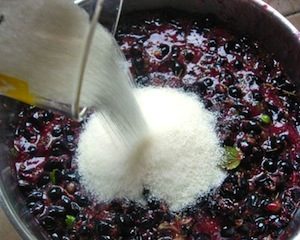 Hogyan készítsünk házi bor szőlőből helyesen és függetlenül