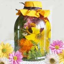 Hogyan kell tartani a virágok segítségével glicerin - Home Moms