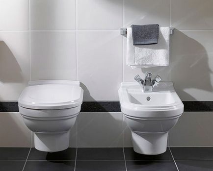 Cum să instalați toaletă cu propriile mâini fotografie și video, totul despre reparații