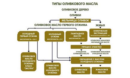 Cum de a alege ulei de măsline - instrucțiuni pentru cumpărător