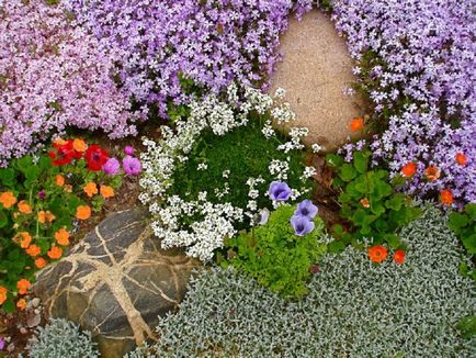 Cum de a alege plante pentru alpine slide sfaturi utile, gardening24