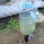 Hogyan válasszuk ki a növények számára az alpesi csúszda ötletek, sadovodstvo24 (kiválasztás) Hogyan válasszuk ki a növények számára az alpesi csúszda tippeket, sadovodstvo24