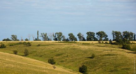 Cum arată trenul de două etaje Moscova-Adler din interior?