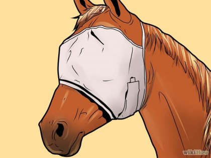 Hogyan lehet gyógyítani szembetegség lovak