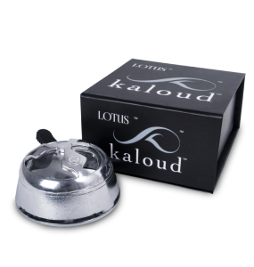 Kaloud lotus (kaloud lotus), recenzie, descriere detaliată, fotografii și recenzii