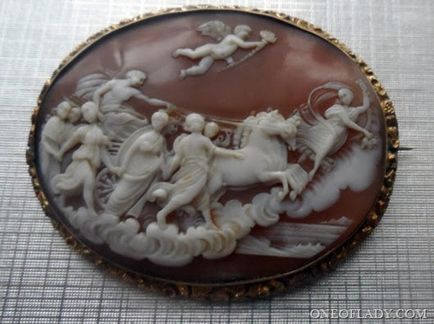 Cameo - jelképe a finomított szépség, az egyik hölgy - egy magazin a nők (szépség) Cameo - jelképe a finomított szépség, az egyik hölgy - egy magazin a nők