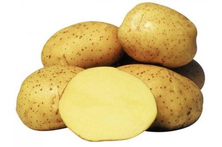 Potato Riviera - o descriere a soiului cu fotografii, plantare, îngrijire și alte aspecte ale videoclipului și recenzii
