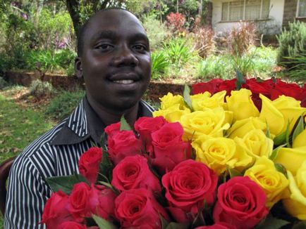 Кенійська троянда опис, сорти, фото