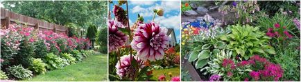 Virágágyások évelők az udvaron egy családi ház saját kezűleg, és fényképek