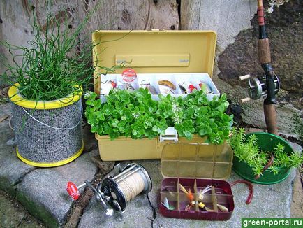 Grădina cu containere este ideală pentru designul de buzunar al dvs. pe propriile mâini