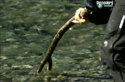 Spear pentru pescuit, cum ar fi vânarea unui pește cu suliță, pescuit alternativ