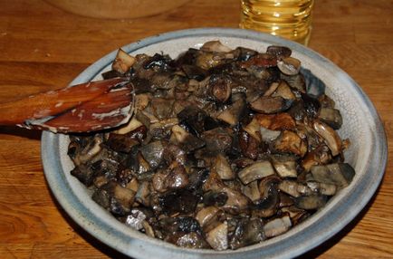 Descriere, poze, descrieri, locatii de distributie Krasnoiulovka (boletus)