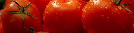 Куди зникли смачні болгарські помідори