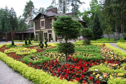 Ландшафтний дизайн маленького ділянки фото перед будинком