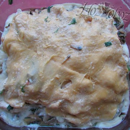 Lasagna într-un cuptor cu microunde este o rețetă delicioasă, un hozoboz - știm totul despre mâncare