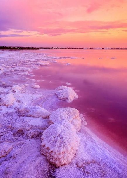 Terapeutice roz saline lake vieja - bsrgroup - excursii în Spania