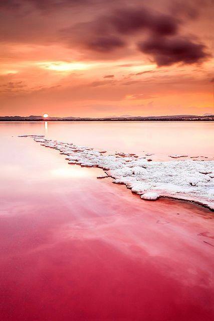 Terapeutice roz saline lake vieja - bsrgroup - excursii în spania