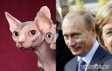 Pisicile goale impotriva lui Putin