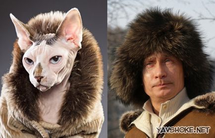 Pisicile goale impotriva lui Putin