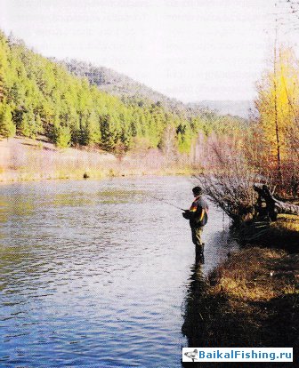 Prinde lenea în râurile montane taiga din Transbaikalia