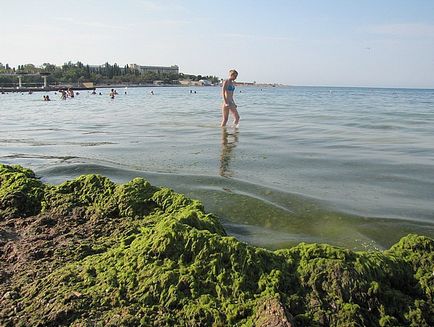 Cele mai bune plaje din Sevastopol cele mai bune este în mediul rural